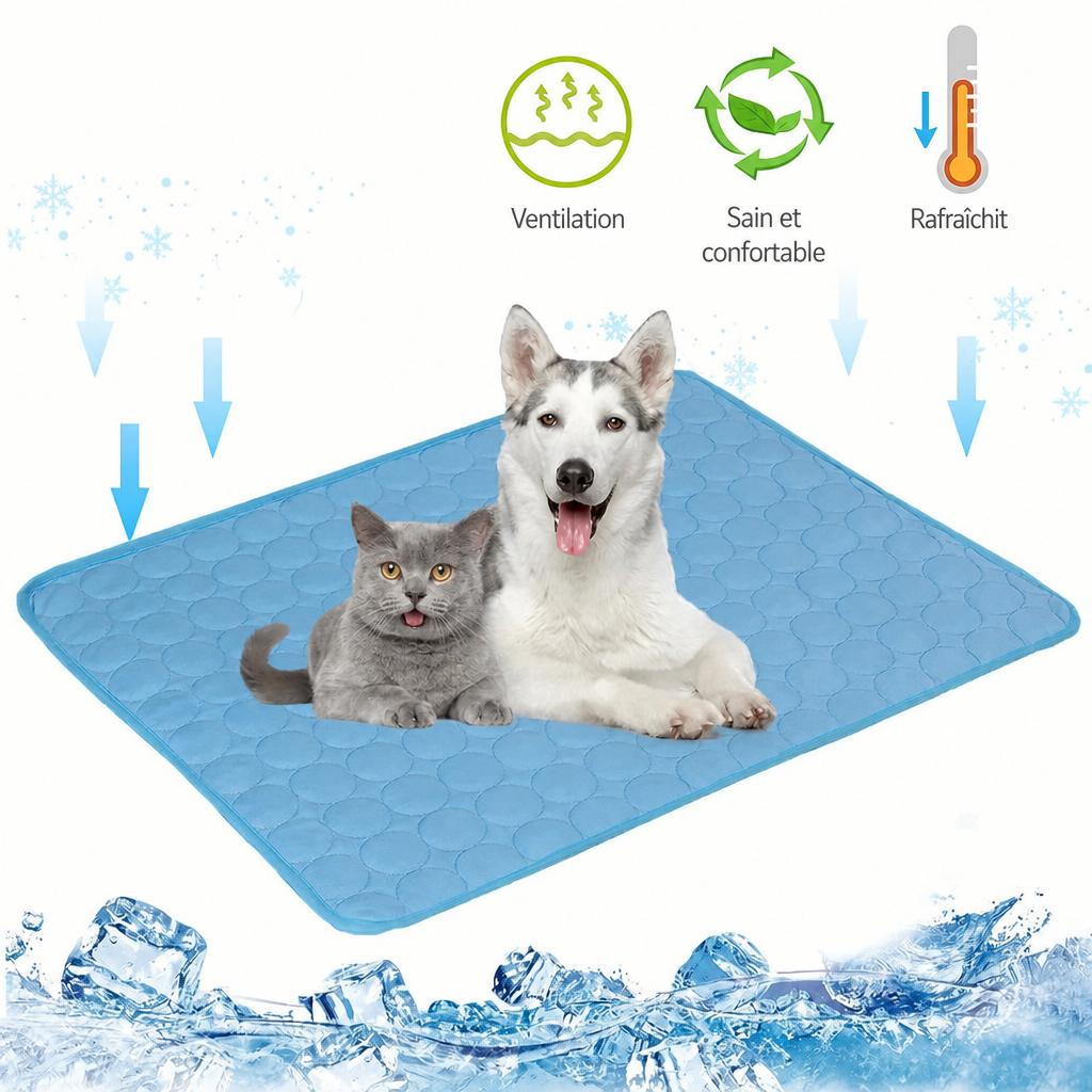 Chien et chat sur tapis rafraîchissant