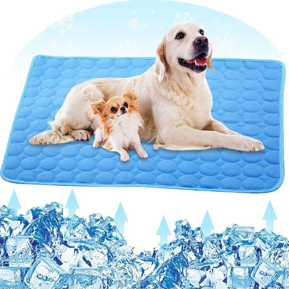 Chiens sur tapis rafraîchissant bleu