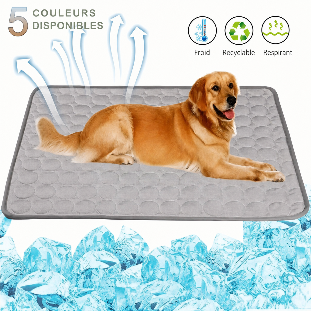 Tapis rafraîchissant — couleurs et avantages